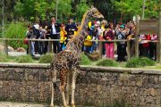 آشنایی و معرفی باغ وحش ازمیر ترکیه